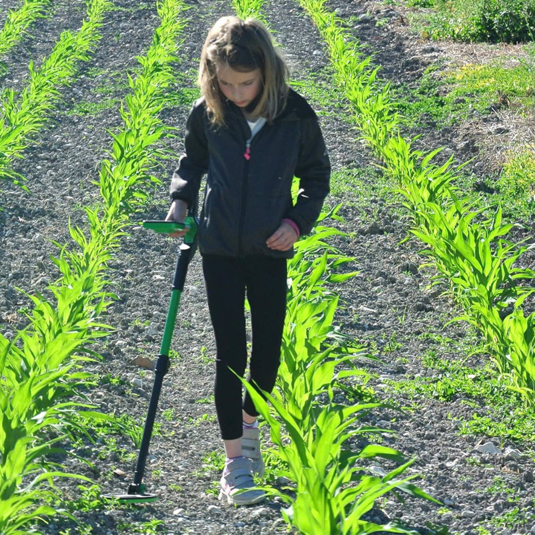 Nokta Makro Midi Hoard