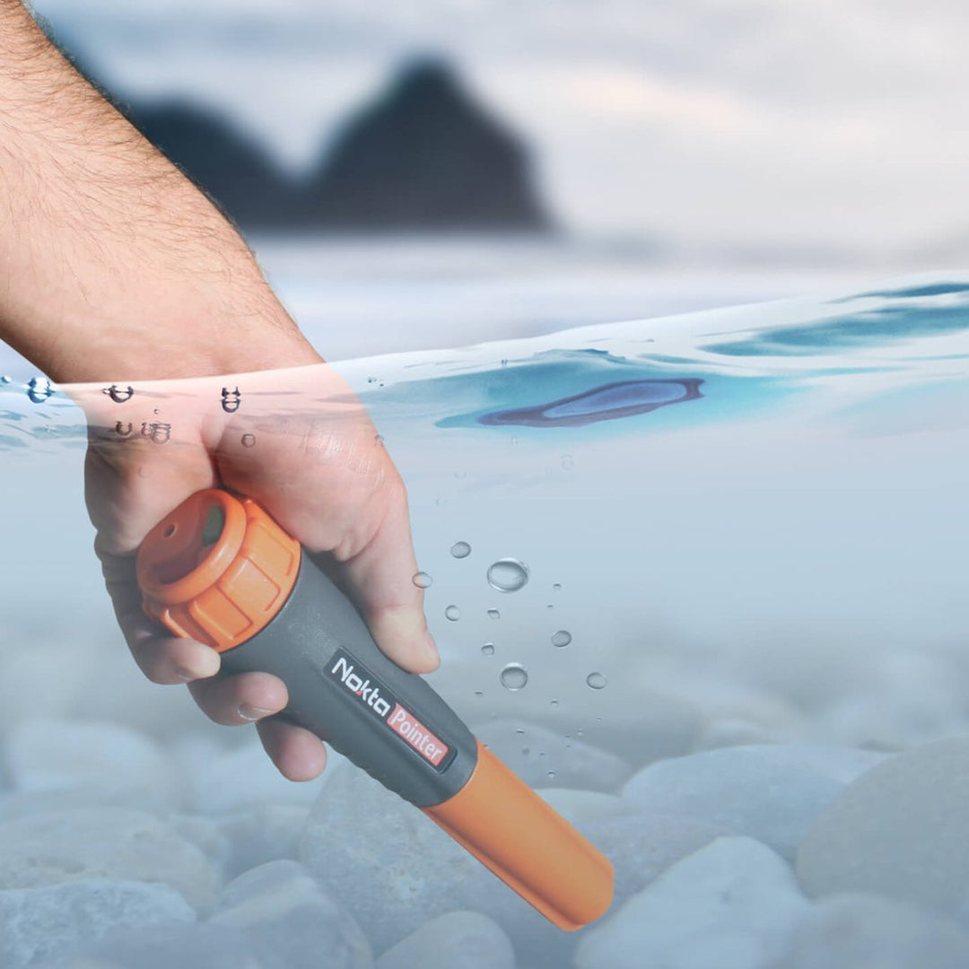 Nokta Makro Nokta Pointer