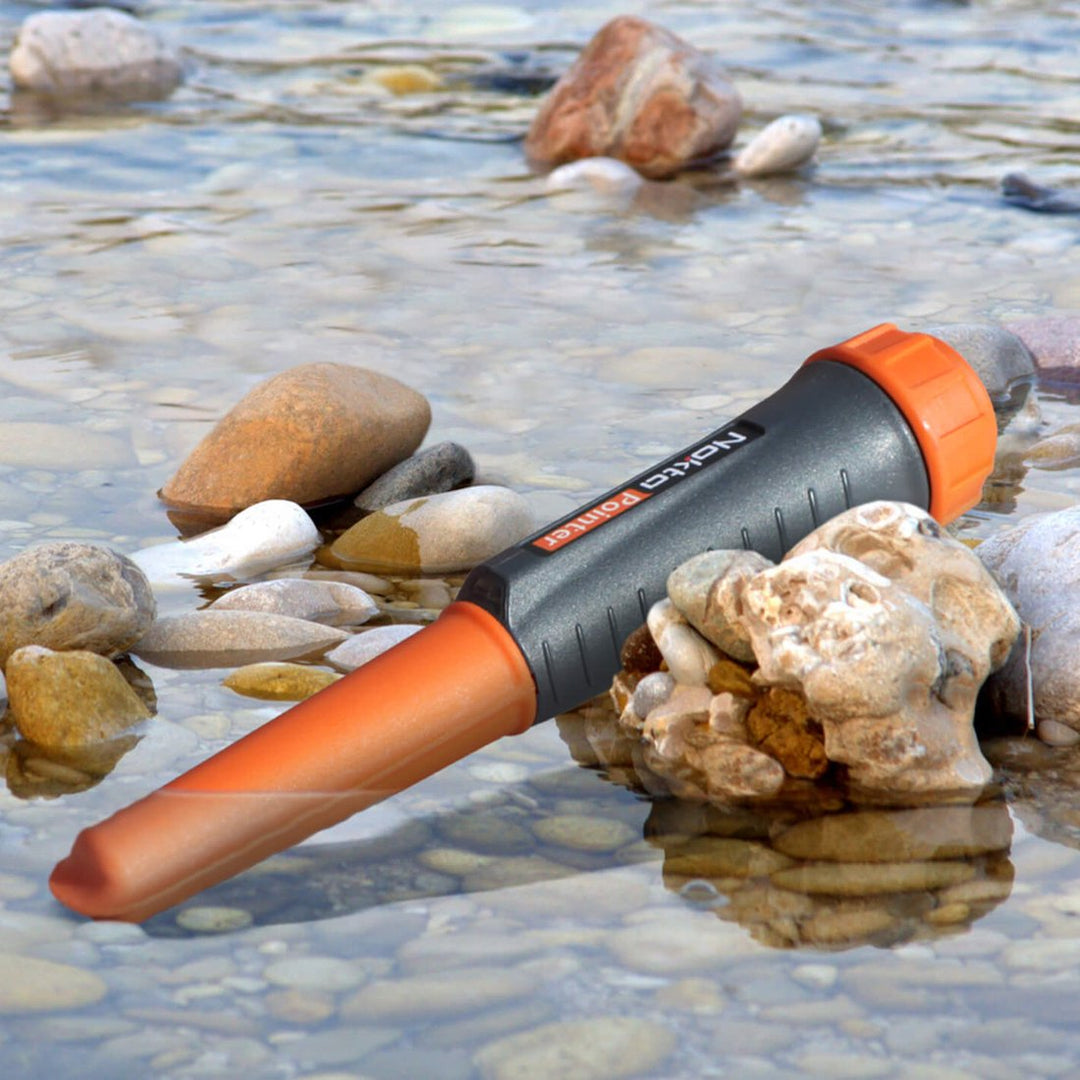 Nokta Makro Nokta Pointer